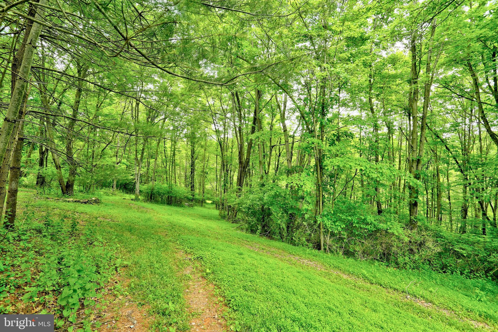 19991 Dutton Road Stewartstown, PA 17363 - Photo 55 of 61