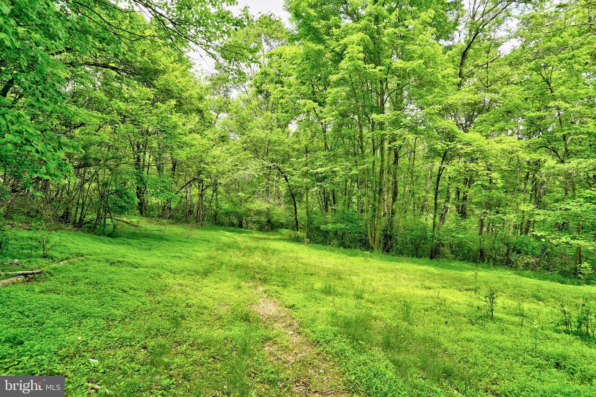 19991 Dutton Road Stewartstown, PA 17363 - Photo 56 of 61
