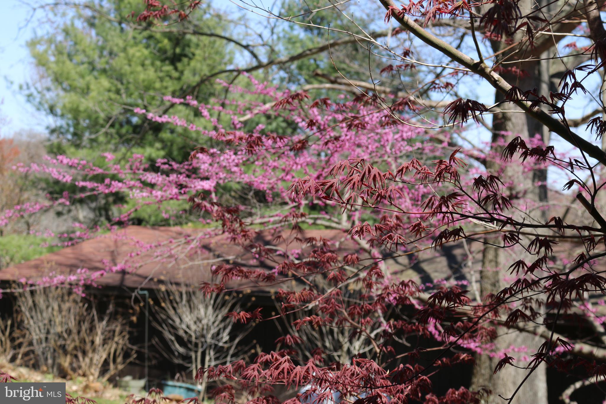 19991 Dutton Road Stewartstown, PA 17363 - Photo 58 of 61