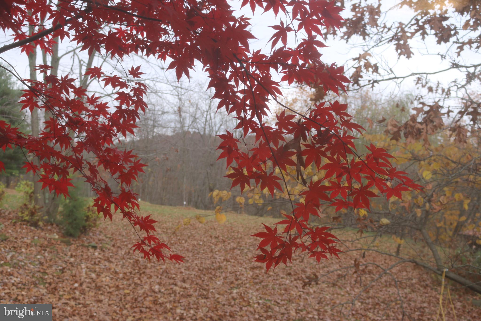 19991 Dutton Road Stewartstown, PA 17363 - Photo 60 of 61