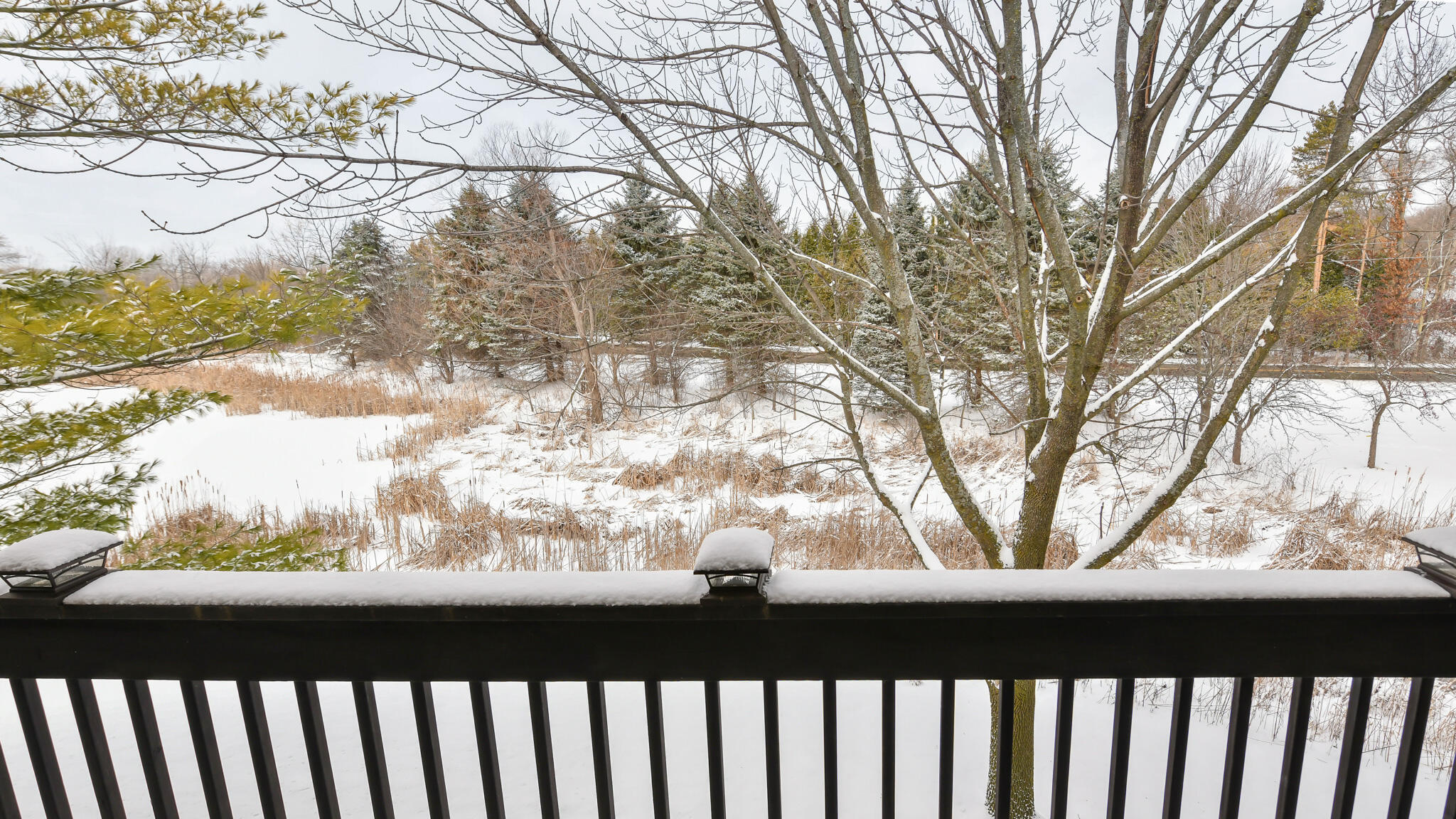 9128 West Elm Court, Unit F Franklin, WI 53132 - Photo 15 of 35 Balcony to Conservancy and Pond