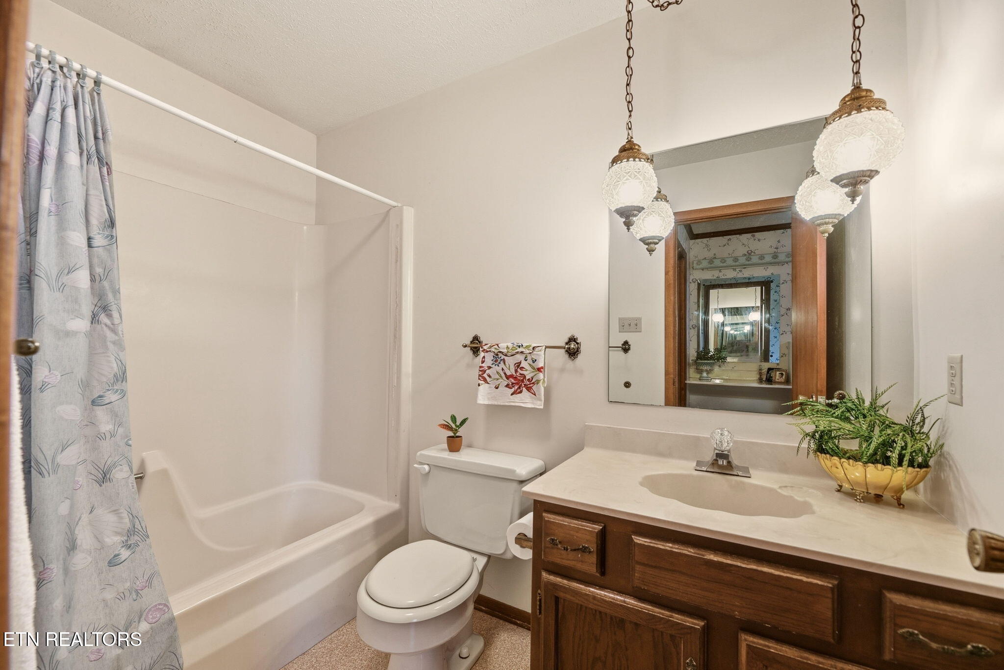 307 Walnut Street Clinton, TN 37716 - Photo 18 of 38 18-web-or-mls-(47)