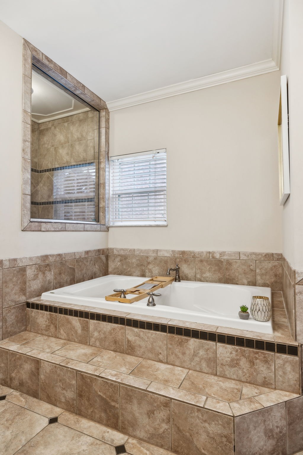 1209 White Rock Road Spring Hill, TN 37174 - Photo 42 of 93 a bathroom with a bathtub and next to a window