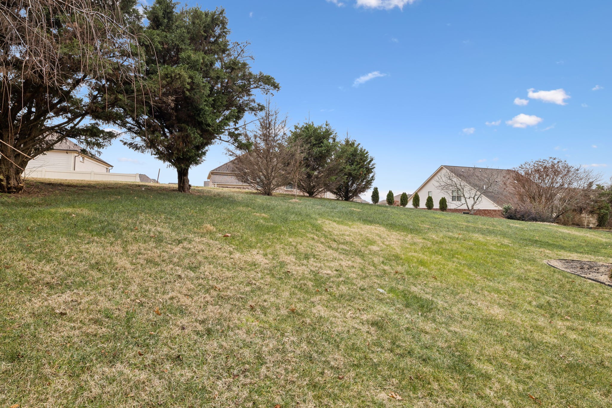 1209 White Rock Road Spring Hill, TN 37174 - Photo 77 of 93