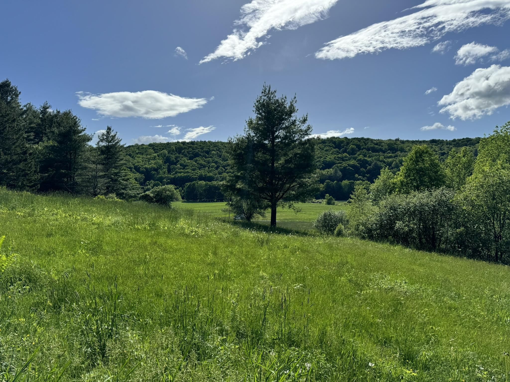 0 Happy Haven Road, Unit LOT 45 Wilmington, VT 05363 - Photo 1 of 29