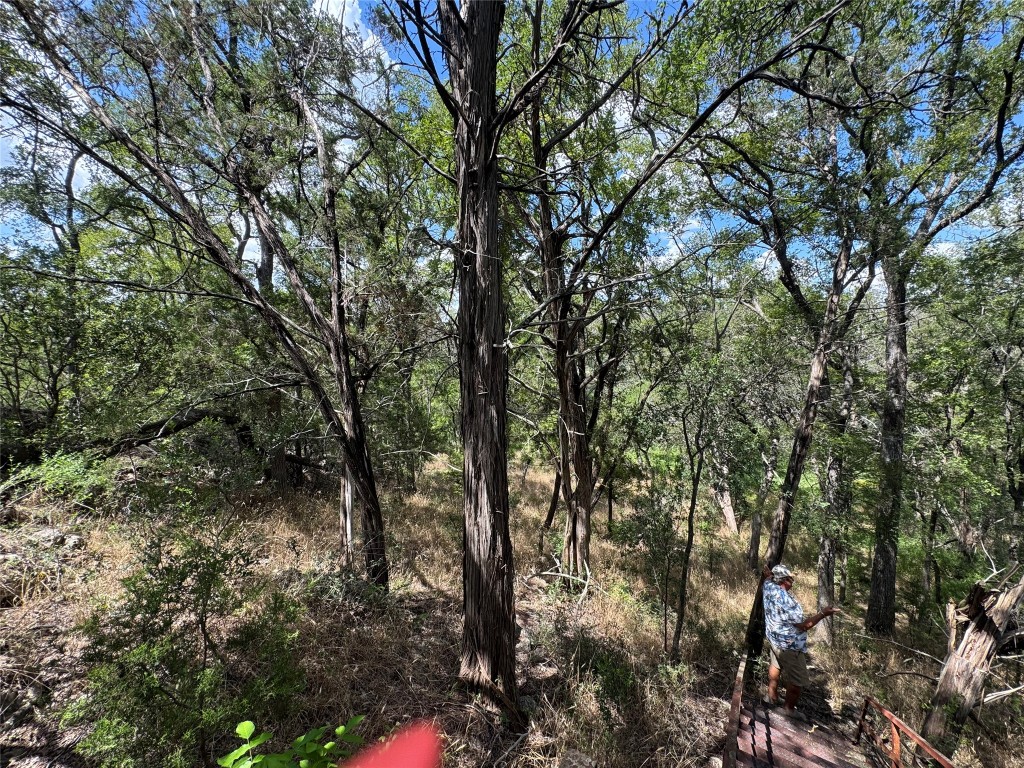 3633 Outback Trail Spicewood, TX 78669 - Photo 11 of 34 a view of forest