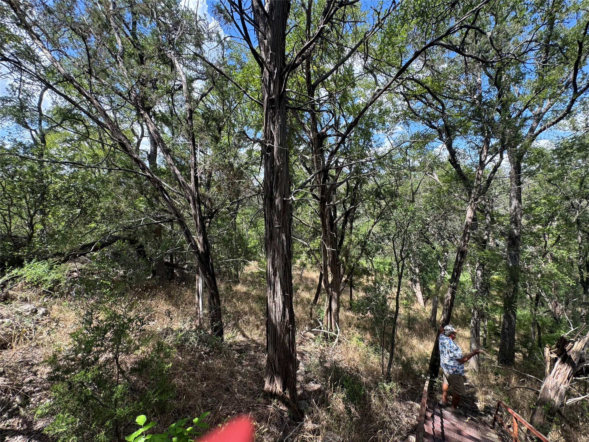 3633 Outback Trail Spicewood, TX 78669 - Photo 11 of 34 View of nature