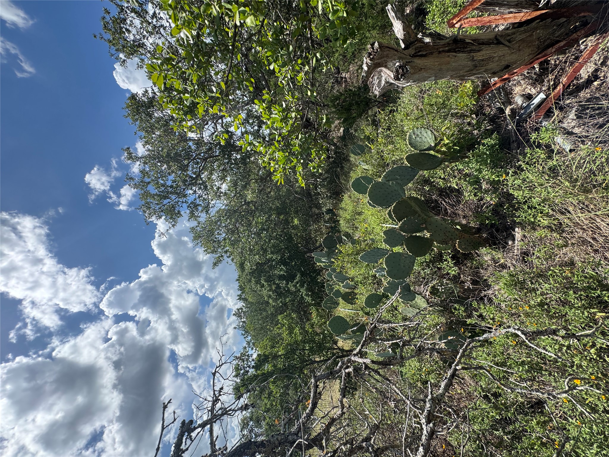 3633 Outback Trail Spicewood, TX 78669 - Photo 13 of 34 View of wooded area