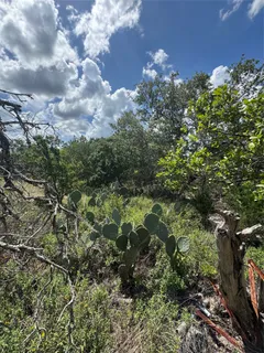 a view of a dry yard with green space