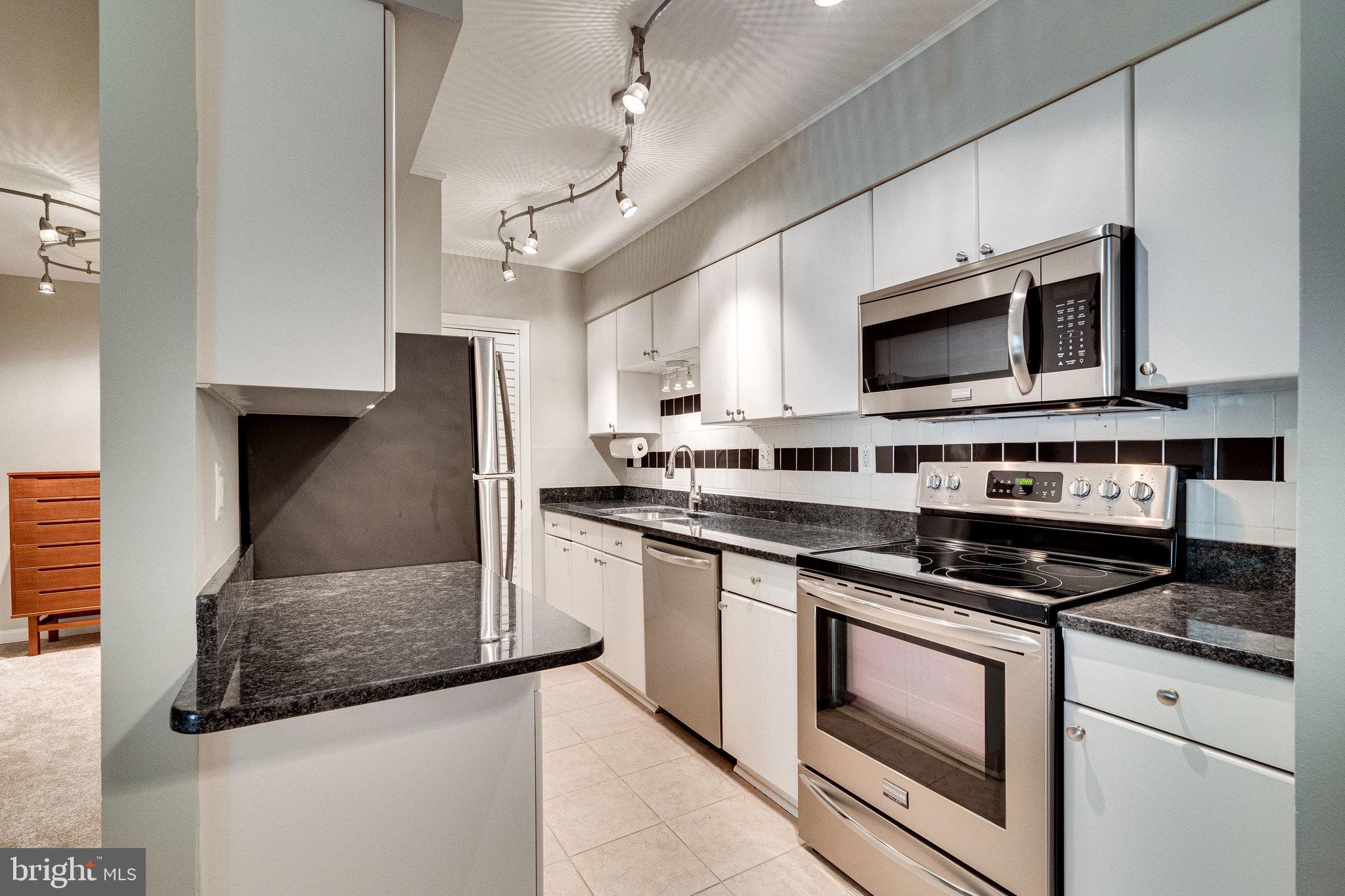 5900 Queenston Street, Unit 497 Springfield, VA 22152 - Photo 5 of 37 Updated Kitchen