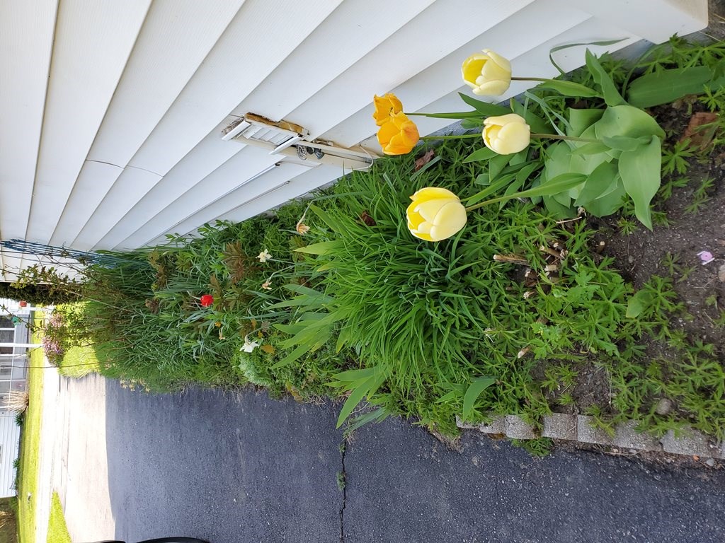 9 Highlandview Road Claremont, NH 03743 - Photo 28 of 28 Gallery Image 28