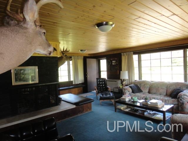 Tbd Uno Dam/ Ff3473 Road Iron River, MI 49935 - Photo 11 of 36