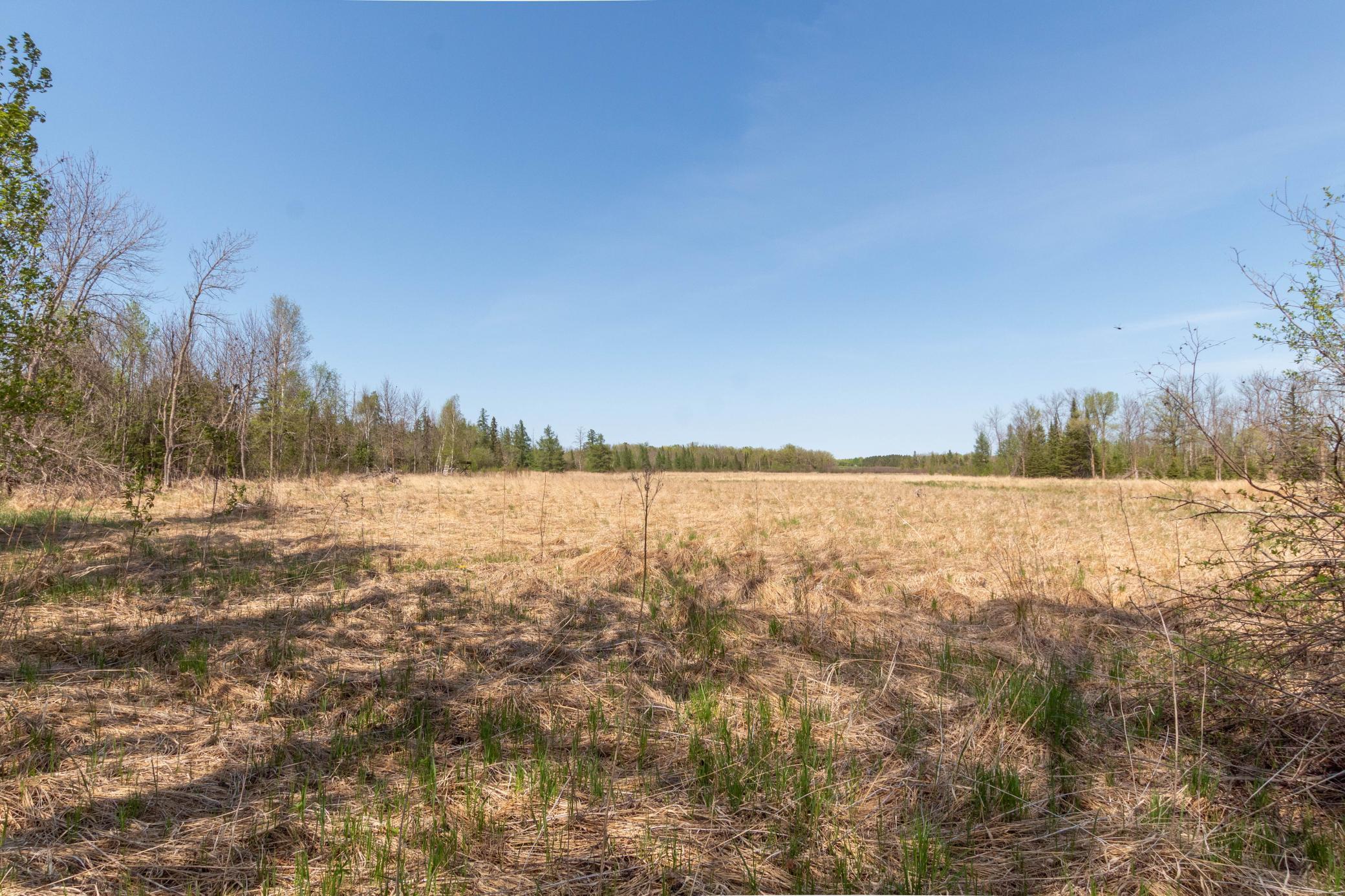 Tbd Tbd Stephani Road Northwest Puposky, MN 56667 - Photo 15 of 24