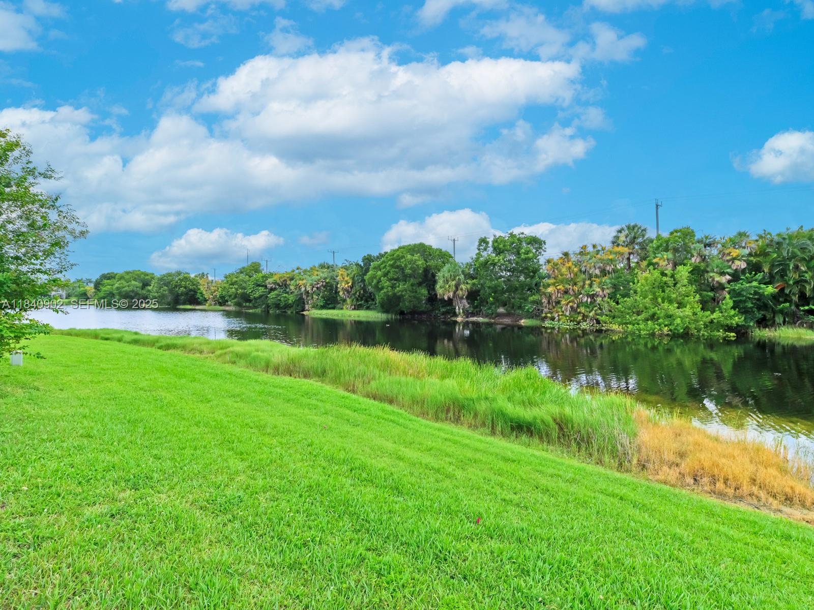 933 Falling Water Road Weston, FL 33326 - Photo 46 of 58 a view of a lake with a big yard