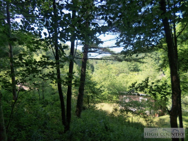 128 Jake Blackburn Road Lansing, NC 28643 - Photo 6 of 16 a view of lake from yard