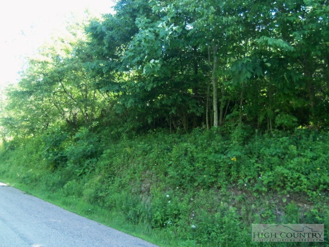 128 Jake Blackburn Road Lansing, NC 28643 - Photo 8 of 16 a view of a lush green space