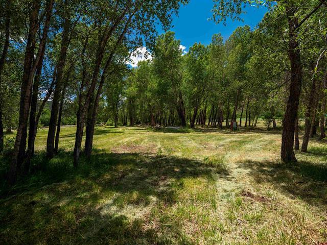 18920 34.4 Road Dolores, CO 81323 - Photo 13 of 20 18920 34.4 Road