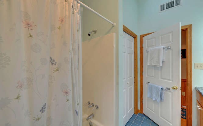 110 Chestnut Ridge Road Blairsville, GA 30512 - Photo 22 of 46 Main Floor Bath
