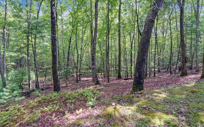 110 Chestnut Ridge Road Blairsville, GA 30512 - Photo 42 of 46 Gallery Image 42