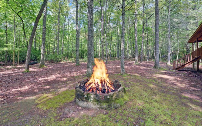 110 Chestnut Ridge Road Blairsville, GA 30512 - Photo 44 of 46 Fire Pit
