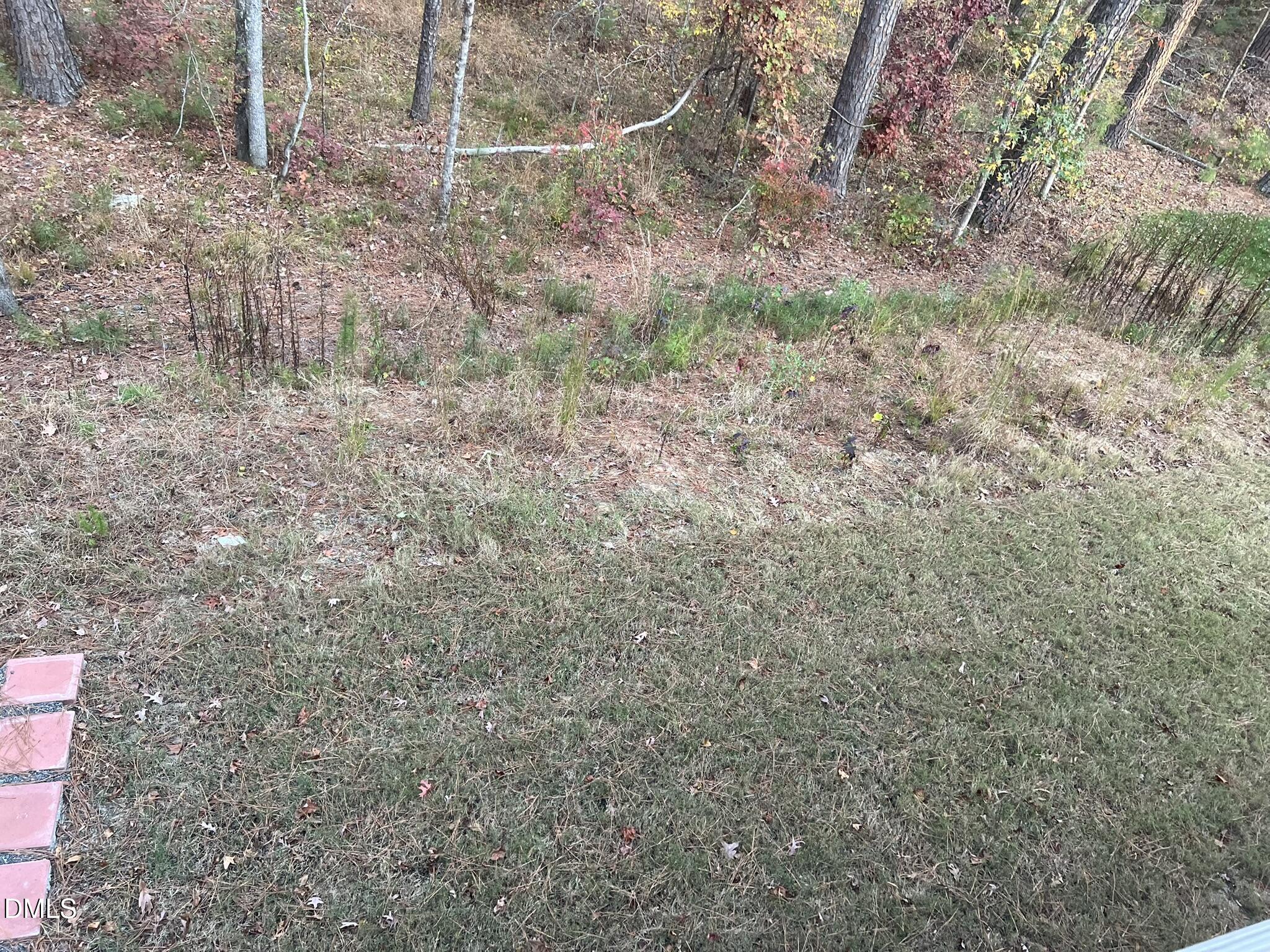 1205 Spring Wheat Court Apex, NC 27502 - Photo 72 of 83 IMG_4074