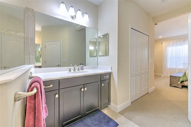 a view of a park with plants and trees