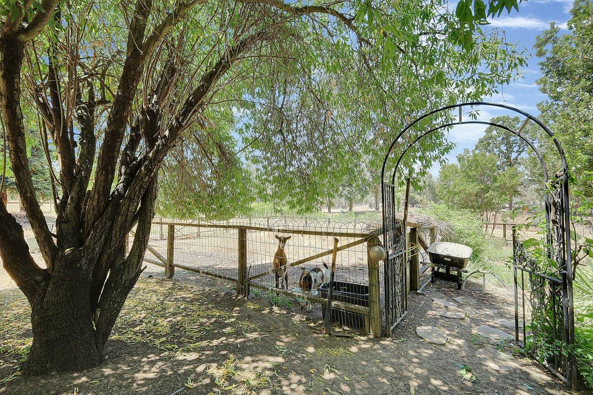 10307 Alta Mesa Road Wilton, CA 95693 - Photo 52 of 58 a view of outdoor space with garden