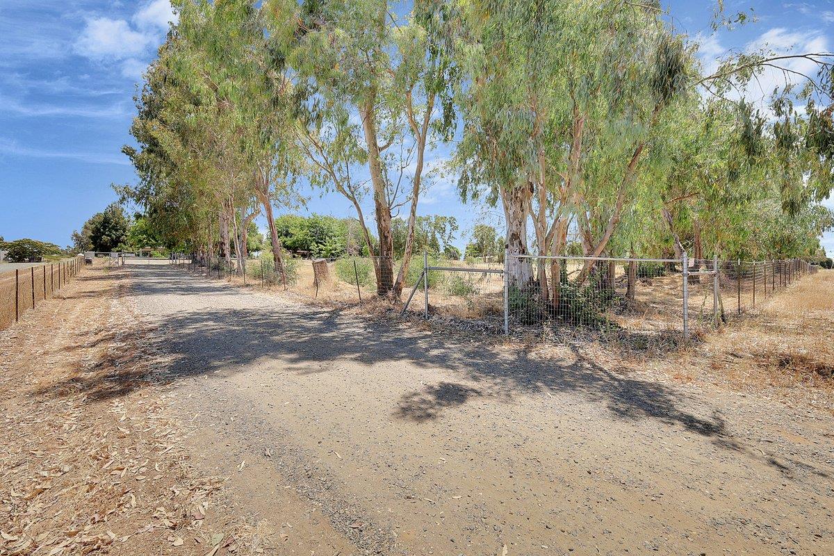 10307 Alta Mesa Road Wilton, CA 95693 - Photo 55 of 58 a view of a yard with a tree