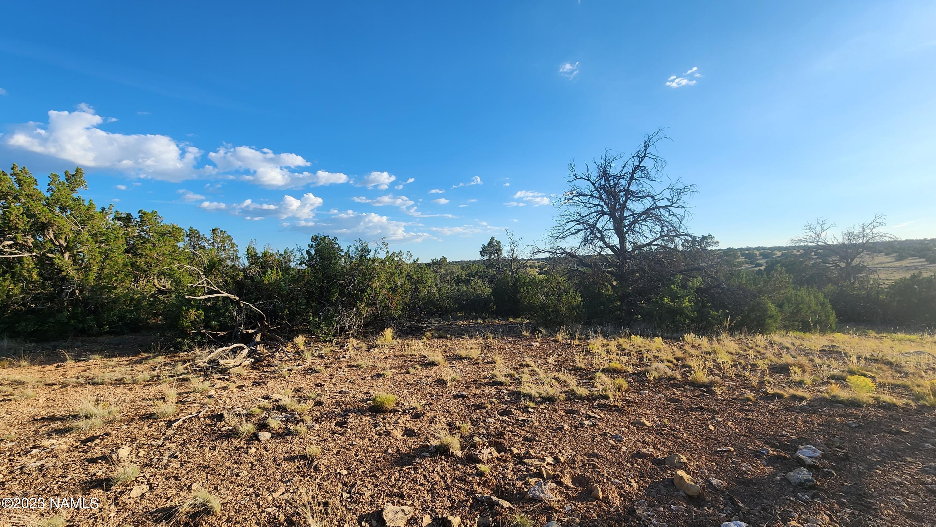 5854 South Estrella Road Williams, AZ 86046 - Photo 6 of 26 20230719_183737