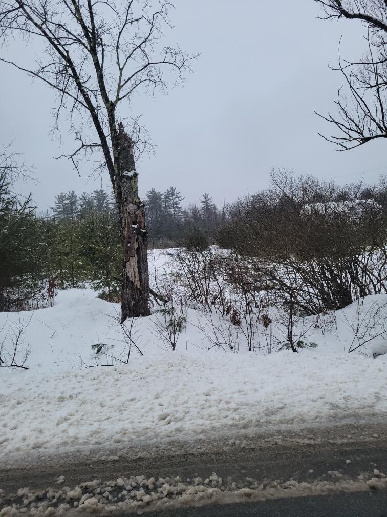 Lot D Middle Ridge Road Bridgton, ME 04009 - Photo 1 of 1 Lot D Middle Ridge Pix