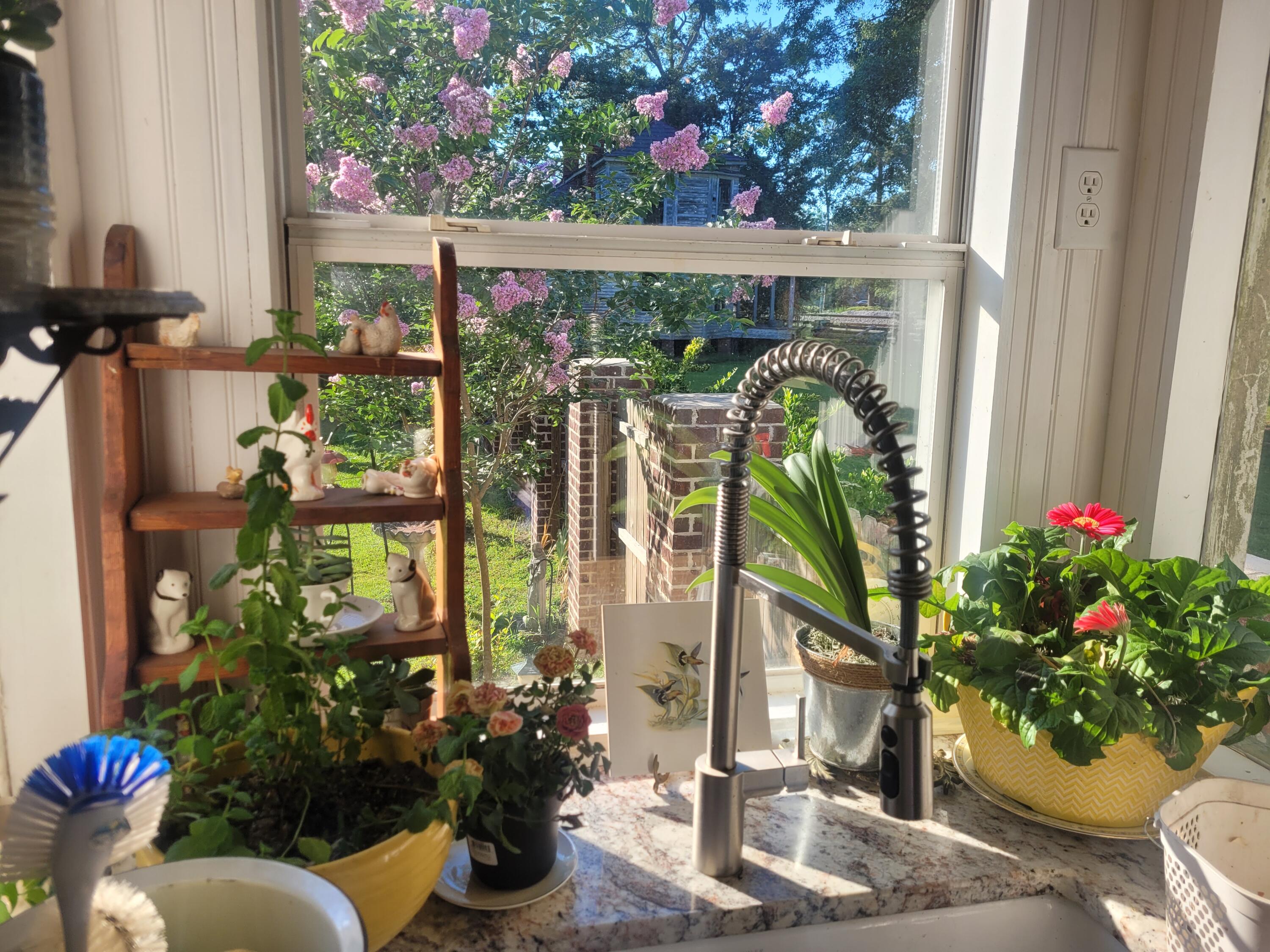 106 County Rd S-18-134 Reevesville, SC 29471 - Photo 36 of 37 Kitchen Window with a view 106 Church St