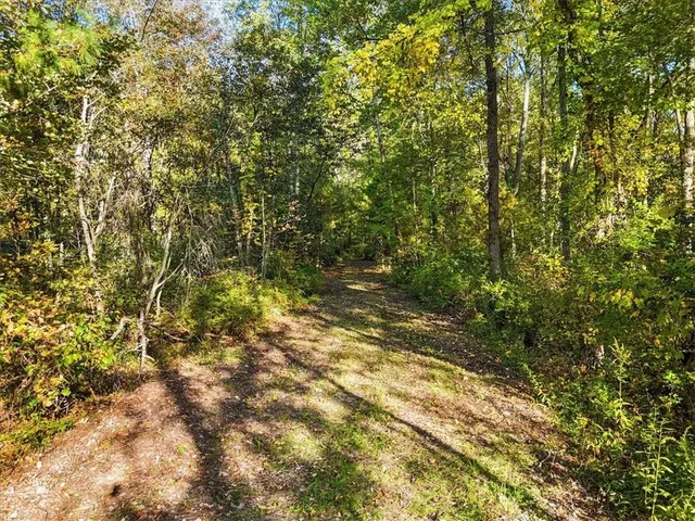 a backyard of a house with lots of plants