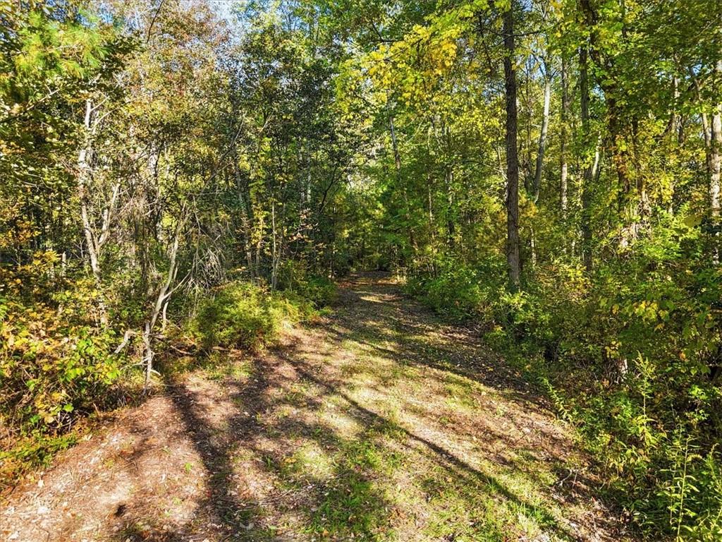 4888 Albany Post Road Staatsburg, NY 12580 - Photo 11 of 18 a view of a yard with a tree