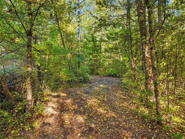a view of a yard with a tree