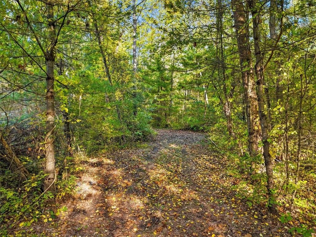 4888 Albany Post Road Staatsburg, NY 12580 - Photo 12 of 18 a view of a yard with a tree