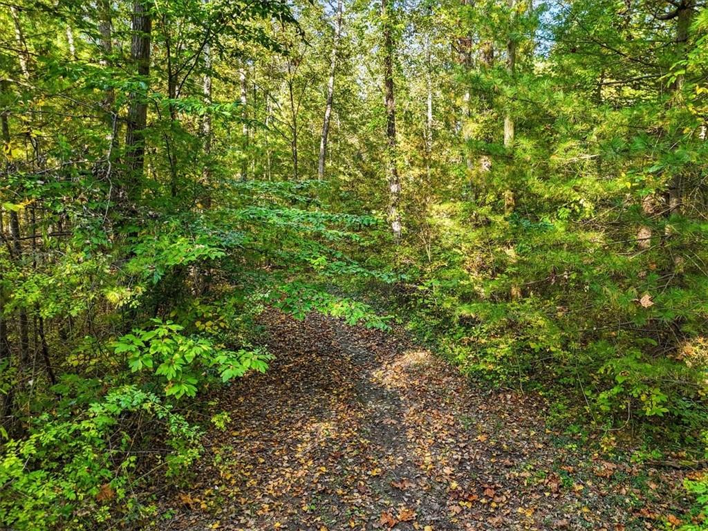 4888 Albany Post Road Staatsburg, NY 12580 - Photo 13 of 18 a backyard of a house with lots of plants