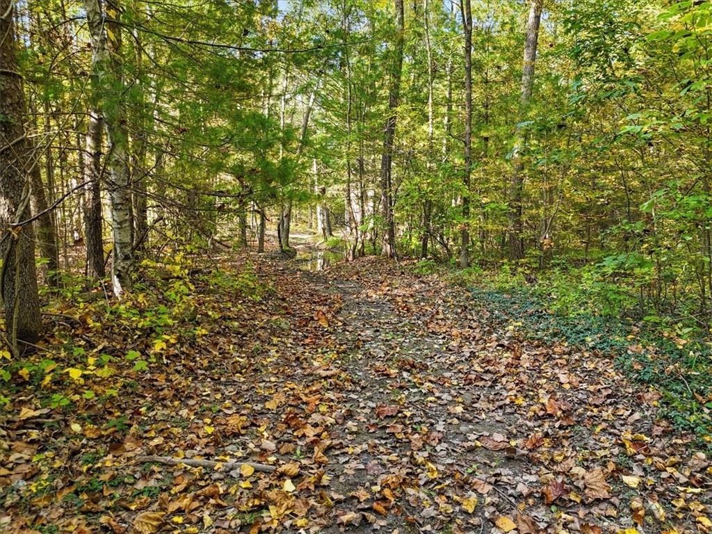 4888 Albany Post Road Staatsburg, NY 12580 - Photo 14 of 18 a view of a yard with a tree