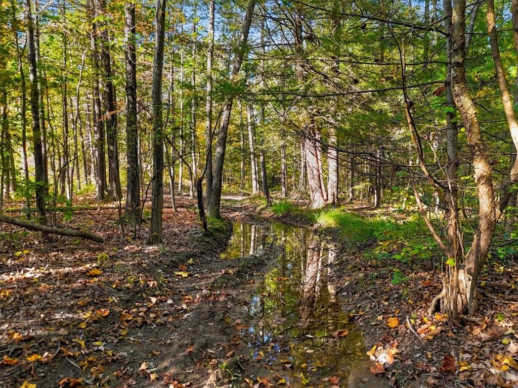 4888 Albany Post Road Staatsburg, NY 12580 - Photo 15 of 18 a view of yard