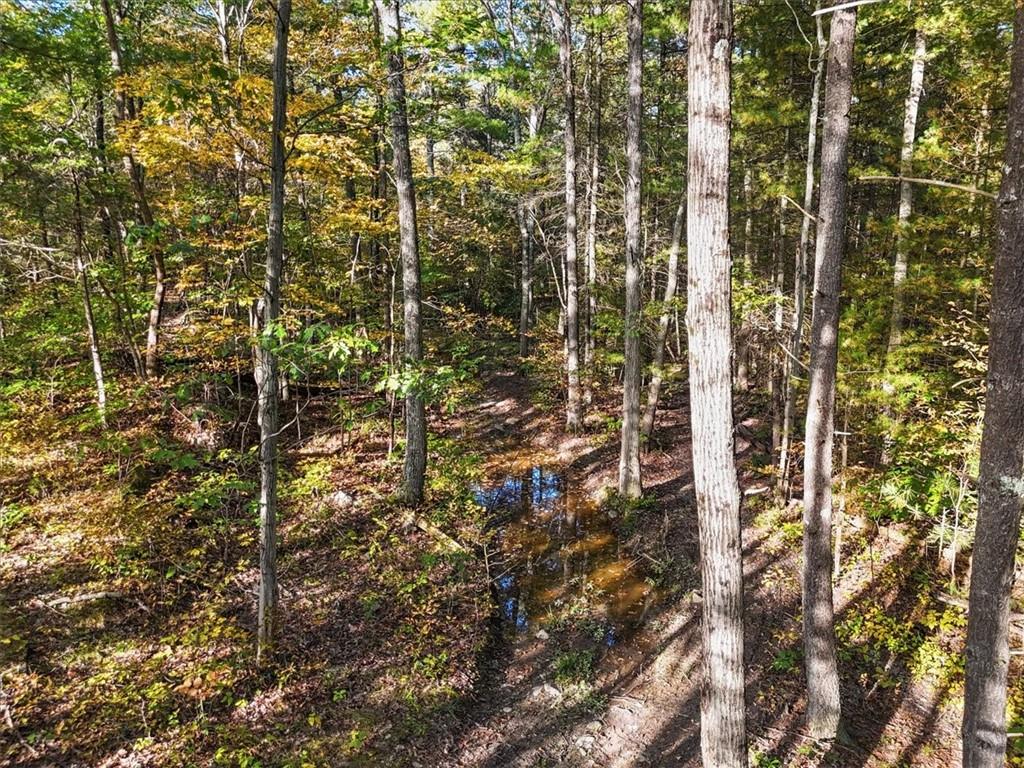 4888 Albany Post Road Staatsburg, NY 12580 - Photo 16 of 18