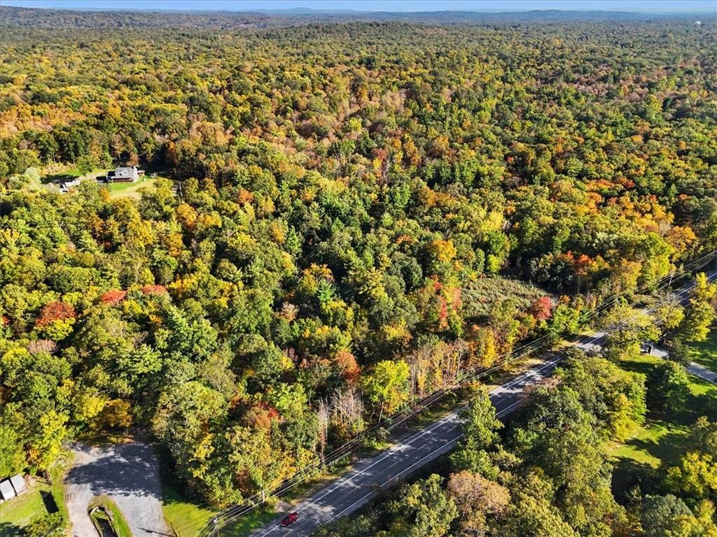 4888 Albany Post Road Staatsburg, NY 12580 - Photo 4 of 18 a view of a yard with wooden wall