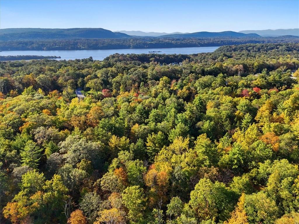 4888 Albany Post Road Staatsburg, NY 12580 - Photo 6 of 18 a view of a lush green field with a mountain in the background