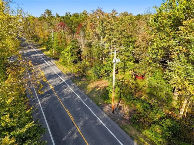 a view of a yard with a tree