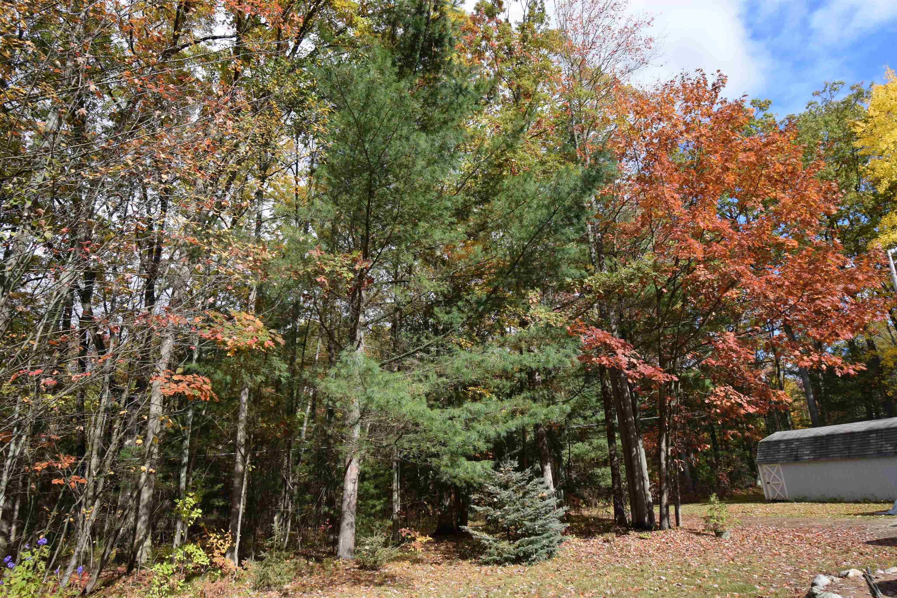 3300 East Arnold Lake Road Harrison, MI 48625 - Photo 86 of 90 1947481-5c2d46d6-dbbc-47db-8b3e-f6f8659032c7.JPG
