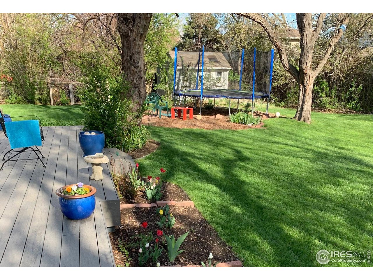 4556 Apple Way Boulder, CO 80301 - Photo 4 of 50 Yard in spring with tulips and green grass. Shed/playhouse in the distance with trampoline that can be included if desired