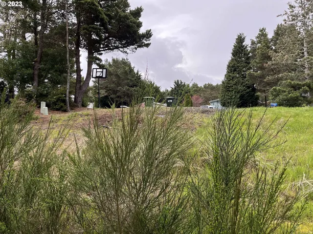 a view of a lake with a trees