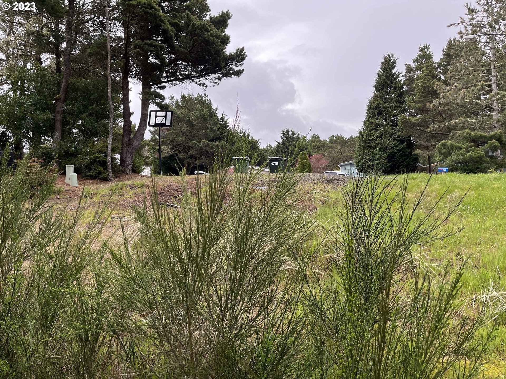 649 Ibolt Court Florence, OR 97439 - Photo 11 of 13 a view of a lake with a trees
