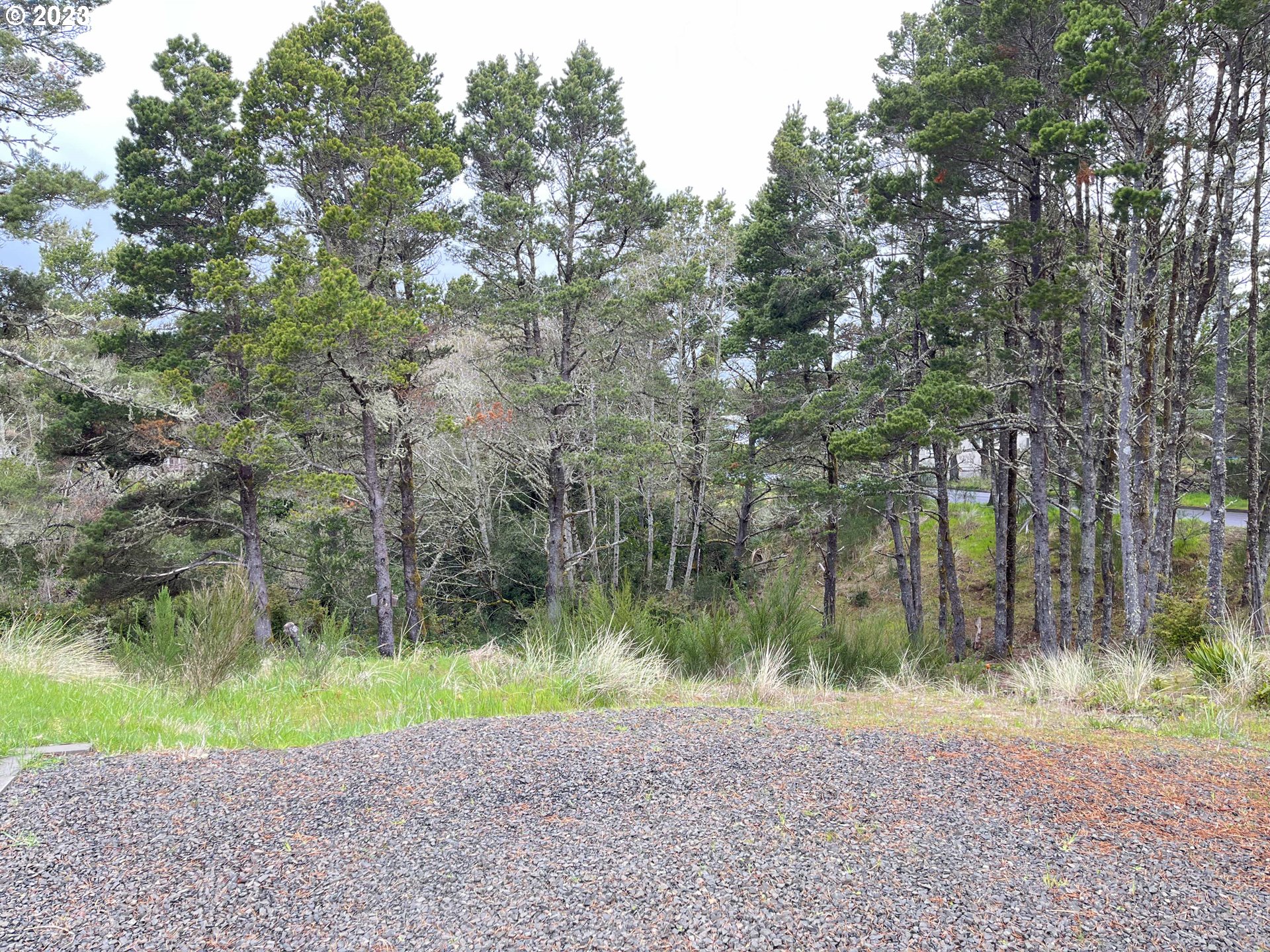 649 Ibolt Court Florence, OR 97439 - Photo 3 of 13 a view of a lake with a yard