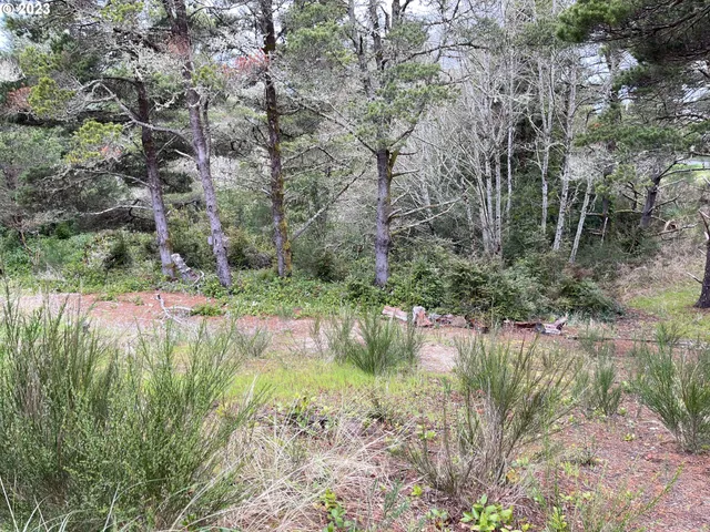 a backyard of a house with lots of green space and lake view
