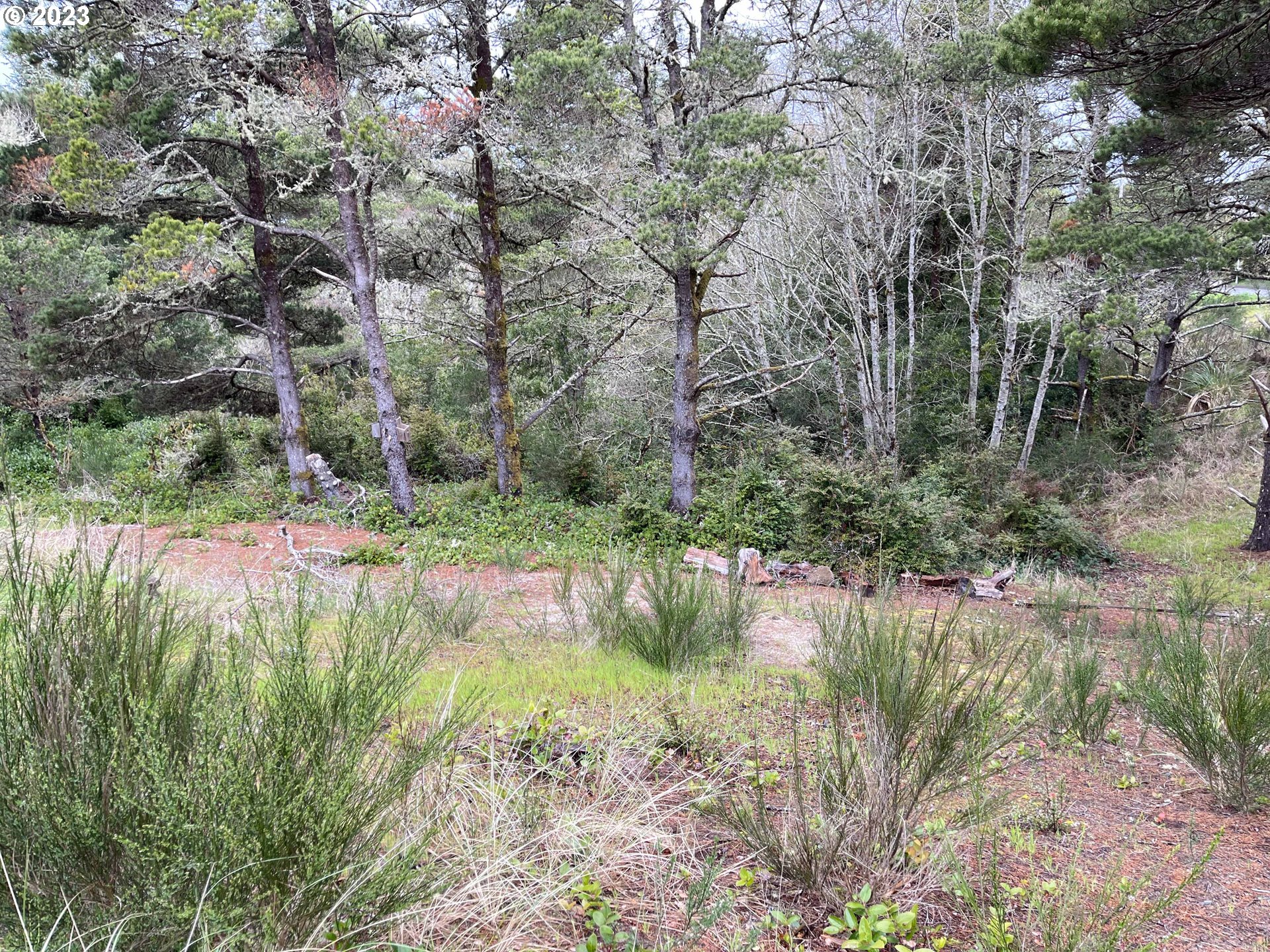 649 Ibolt Court Florence, OR 97439 - Photo 5 of 13 a backyard of a house with lots of green space and lake view