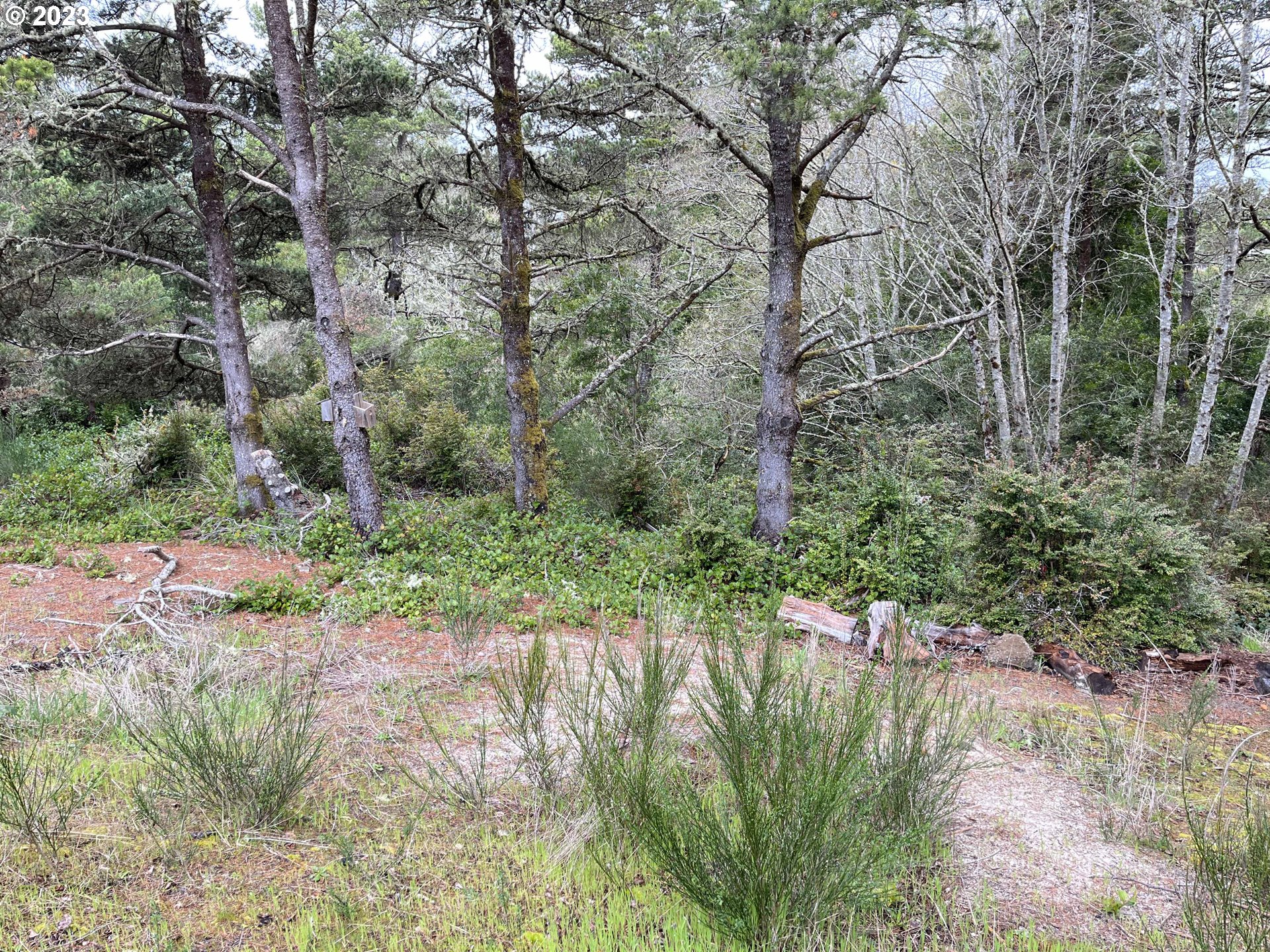 649 Ibolt Court Florence, OR 97439 - Photo 6 of 13 a view of a lake with a yard